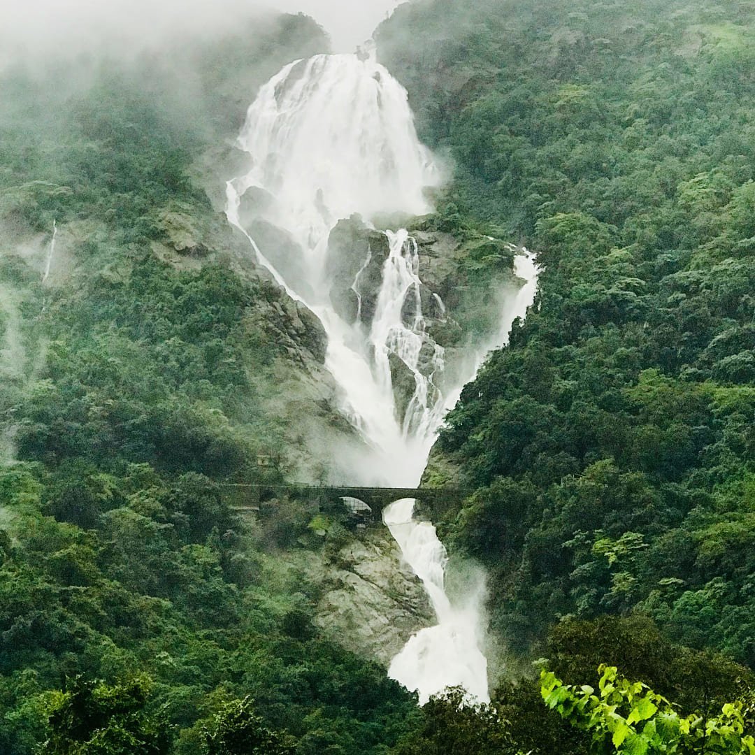 Dudhsagar Falls - Majestic waterfall in Goa's Western Ghats
